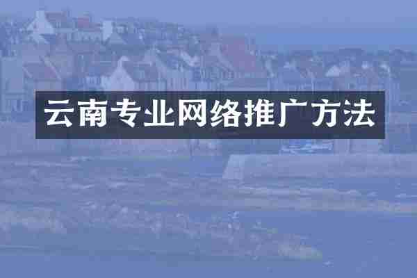 云南专业网络推广方法