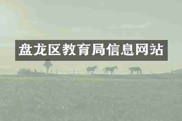 盘龙区教育局信息网站