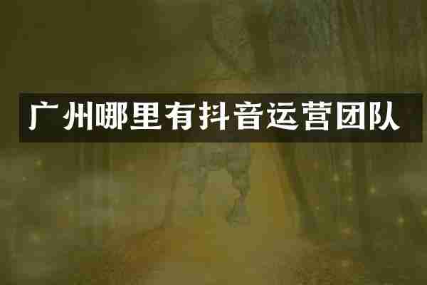 广州哪里有抖音运营团队