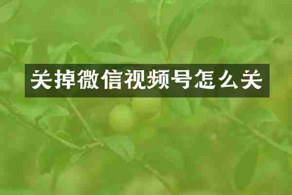 关掉微信视频号怎么关