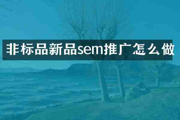 非标品新品sem推广怎么做