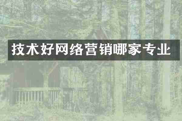 技术好网络营销哪家专业