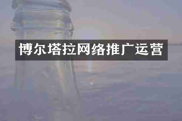 博尔塔拉网络推广运营