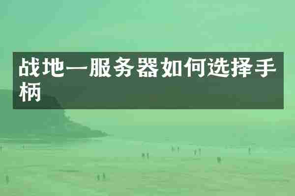 战地一服务器如何选择手柄