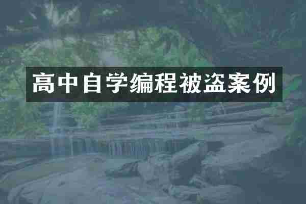 高中自学编程被盗案例
