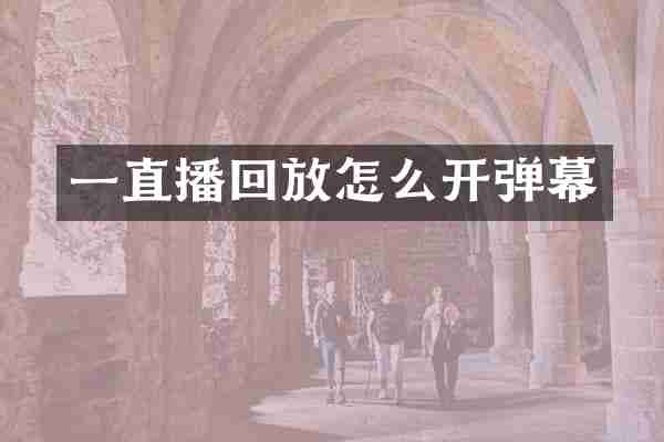 一直播回放怎么开弹幕