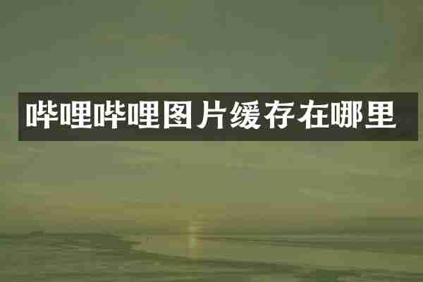 哔哩哔哩图片缓存在哪里