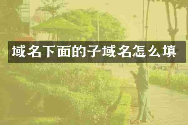 域名下面的子域名怎么填
