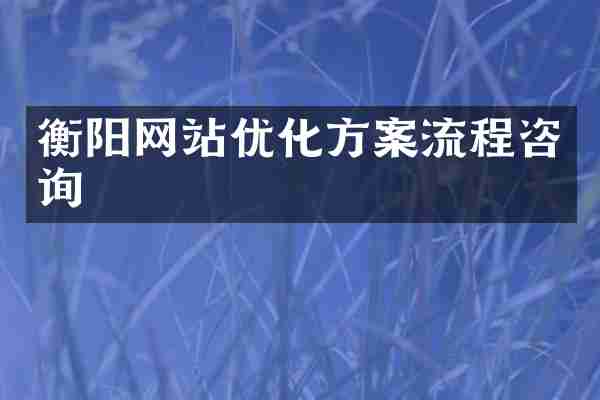 衡阳网站优化方案流程咨询
