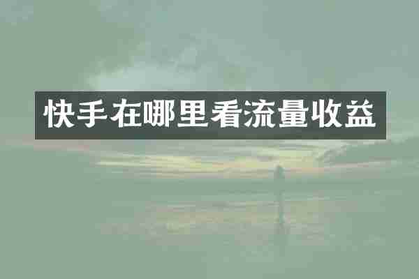快手在哪里看流量收益