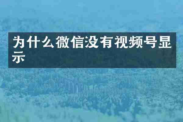 为什么微信没有视频号显示