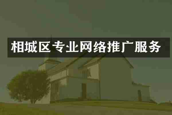 相城区专业网络推广服务