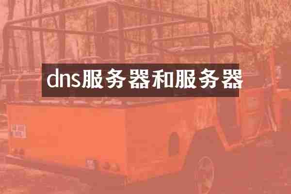 dns服务器和服务器