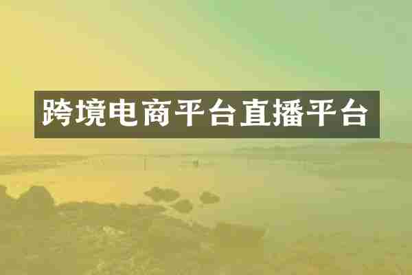 跨境电商平台直播平台