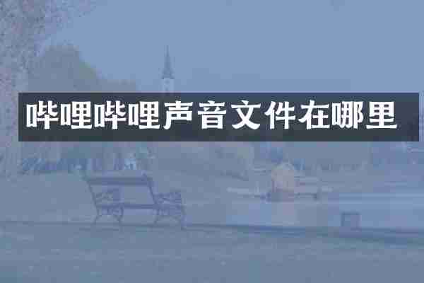 哔哩哔哩声音文件在哪里