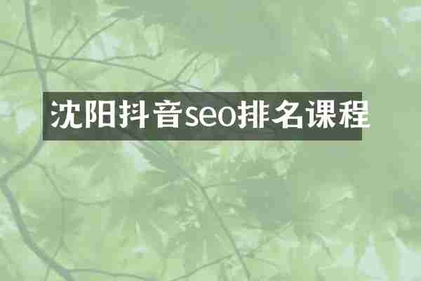 沈阳抖音seo排名课程