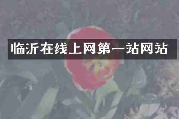 临沂在线上网第一站网站