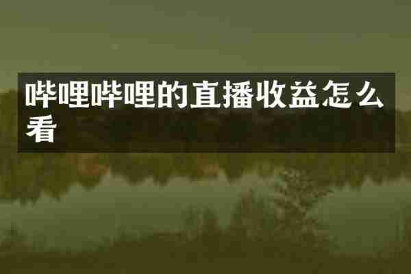 哔哩哔哩的直播收益怎么看