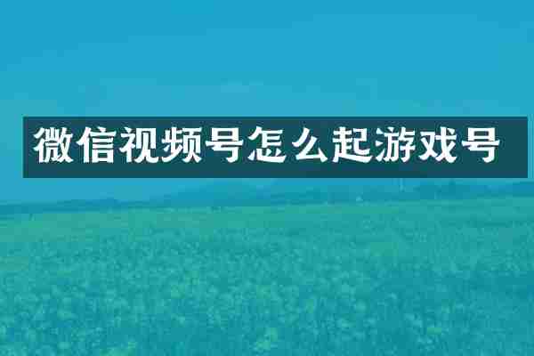 微信视频号怎么起游戏号