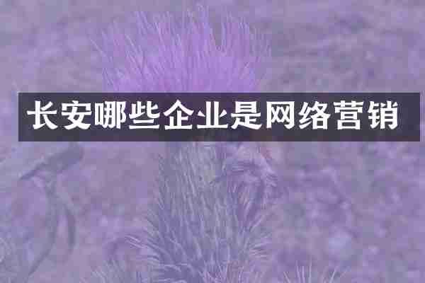 长安哪些企业是网络营销