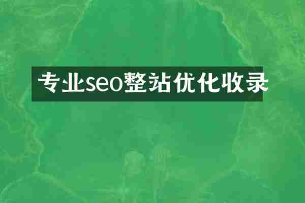 专业seo整站优化收录
