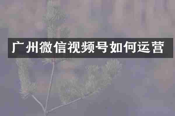 广州微信视频号如何运营
