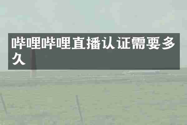 哔哩哔哩直播认证需要多久