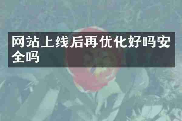 网站上线后再优化好吗安全吗