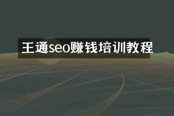 王通seo赚钱培训教程