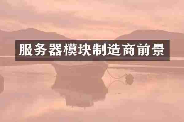 服务器模块制造商前景