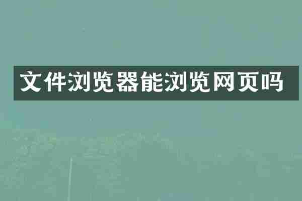 文件浏览器能浏览网页吗