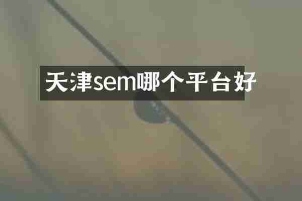 天津sem哪个平台好