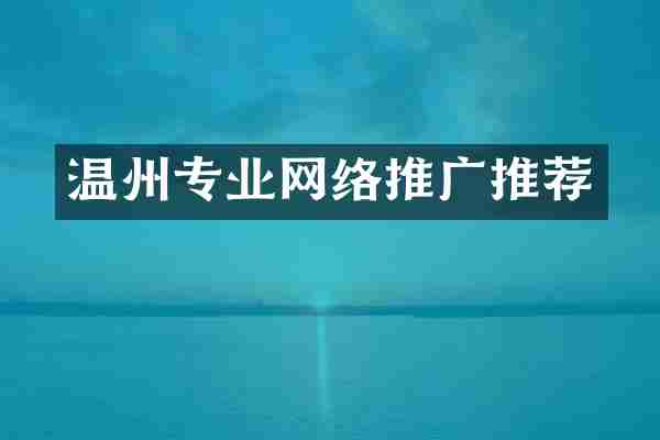 温州专业网络推广推荐