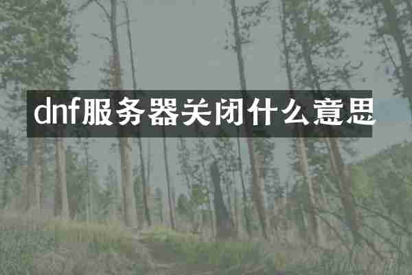 dnf服务器关闭什么意思