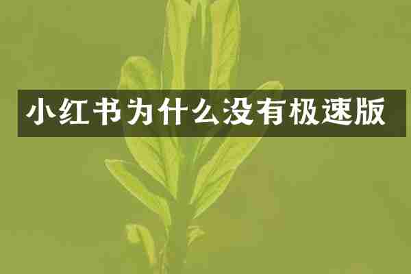 小红书为什么没有极速版