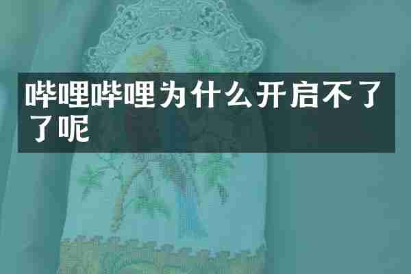 哔哩哔哩为什么开启不了了呢