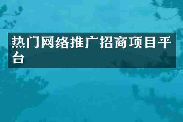 热门网络推广招商项目平台