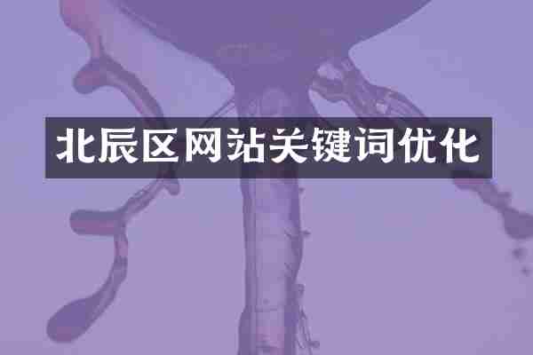北辰区网站关键词优化