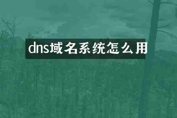 dns域名系统怎么用