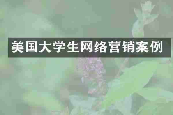 美国大学生网络营销案例