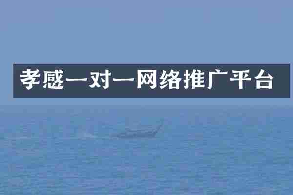 孝感一对一网络推广平台