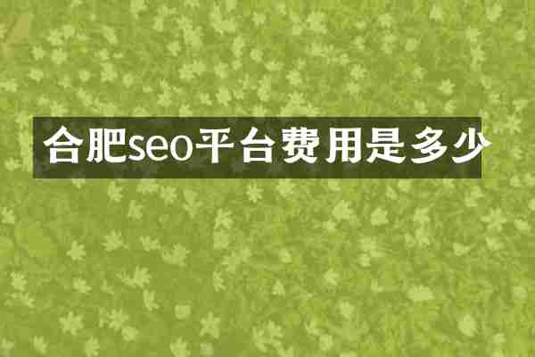 合肥seo平台费用是多少