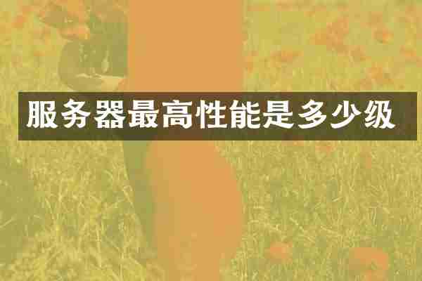 服务器最高性能是多少级