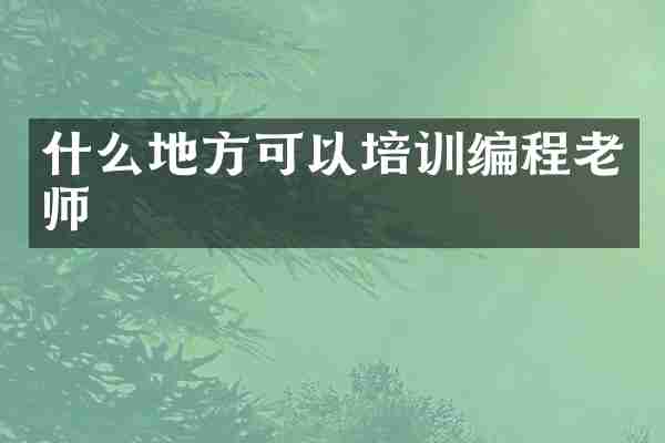 什么地方可以培训编程老师