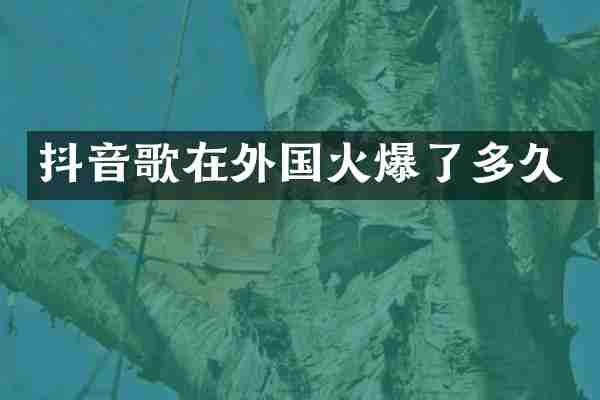 抖音歌在外国火爆了多久