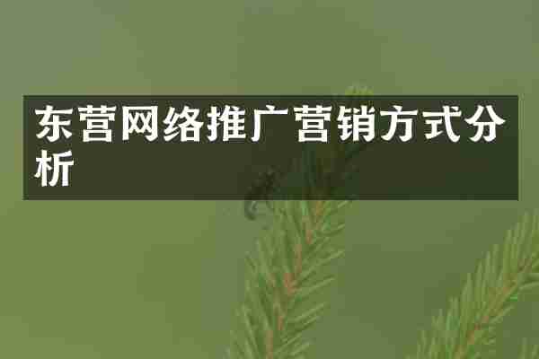 东营网络推广营销方式分析
