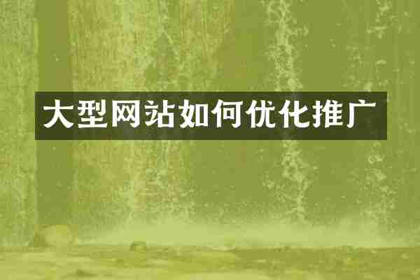 大型网站如何优化推广