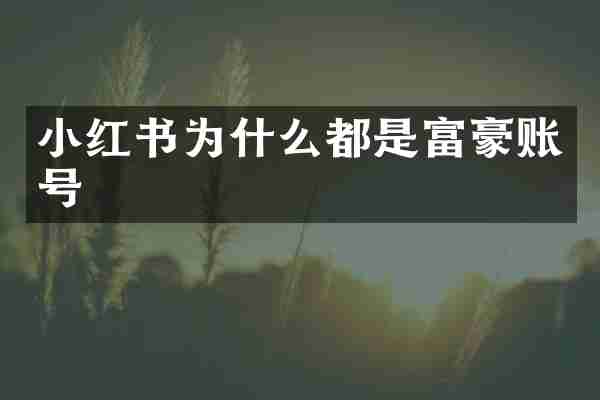 小红书为什么都是富豪账号