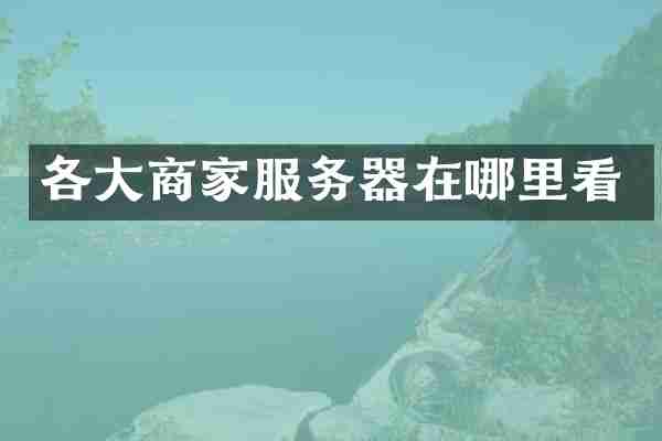 各大商家服务器在哪里看