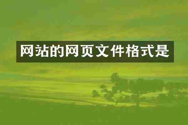 网站的网页文件格式是